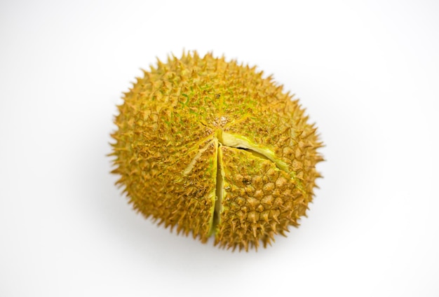 Foto fruto durian com corte ao meio e folhas isoladas no fundo branco