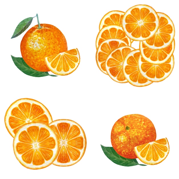 Fruto entero de naranja con una hoja verde y una rebanada de naranjas rebanadas de acuarela aisladas en blanco