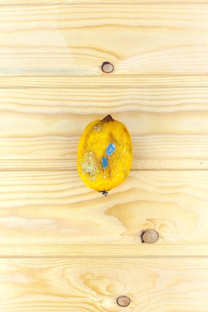Foto fruto de limón podrido aislado en blanco puro