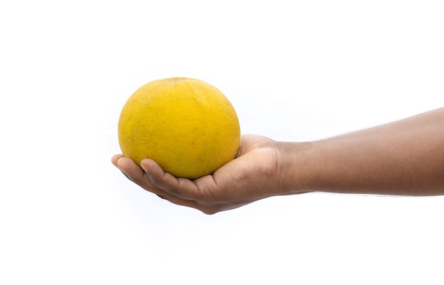 Fruto de pomelo maduro en una mano masculina aislado sobre fondo blanco.
