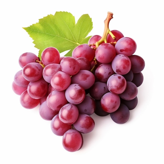 Fruto Ramo de uvas rojas sobre un fondo blanco Foto creada con IA.