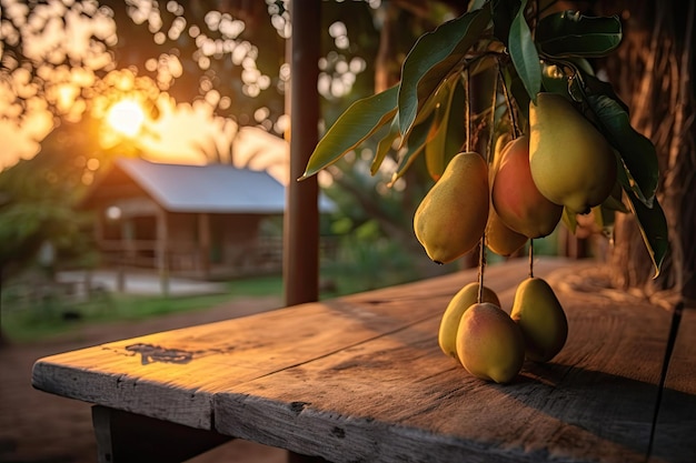 Fruto tropical maduro de mango colgado en un árbol con mesa de madera rústica y puesta de sol en una granja orgánica