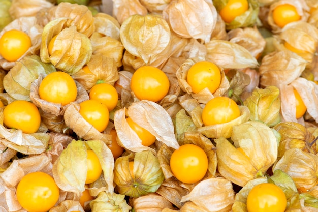 Fruto de uchuva, Physalis peruviana fruta en el mercado