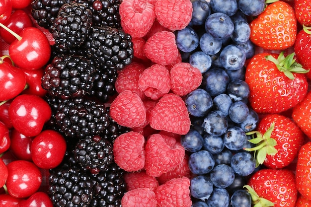 Frutos de bayas seguidos con fresas, arándanos y cerezas.