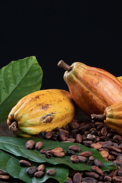 Frutos de cacau e grãos de cacau crus na mesa com preto.