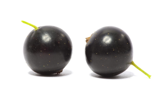 Foto frutos de groselha preta isolados no fundo branco