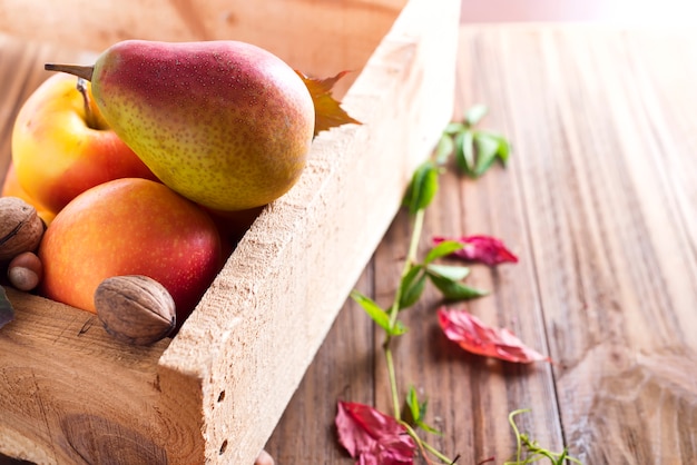 Frutos de outono em uma caixa de madeira