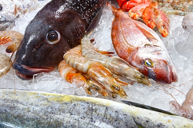 Frutos do mar lagosta camarão peixe lula peixeiro