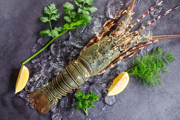 Frutos do mar lagosta no gelo lagosta fresca ou lagosta com ervas e especiarias limão salsa em fundo escuro lagosta crua para cozinhar alimentos ou mercado de frutos do mar