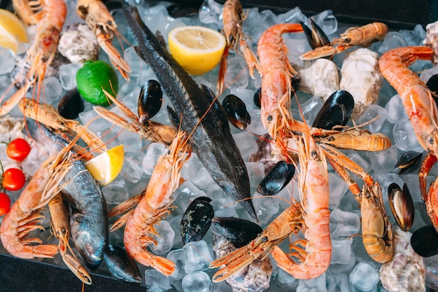 Frutos do mar no gelo. Caranguejos, esturjão, marisco, camarão, Rapana, Dorado, em gelo branco.