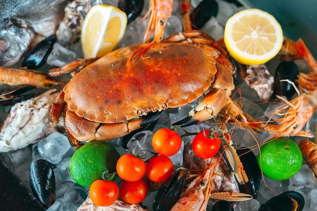 Frutos do mar no gelo. Caranguejos, esturjão, marisco, camarão, Rapana, Dorado, no gelo branco.