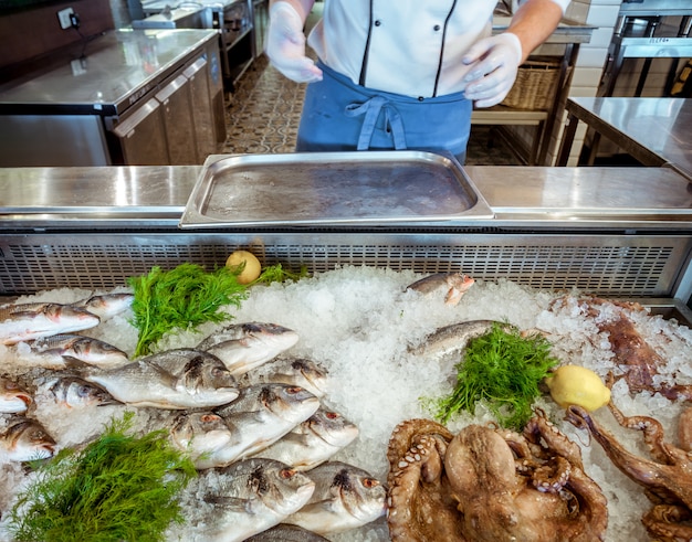 Frutos do mar no gelo e mãos humanas