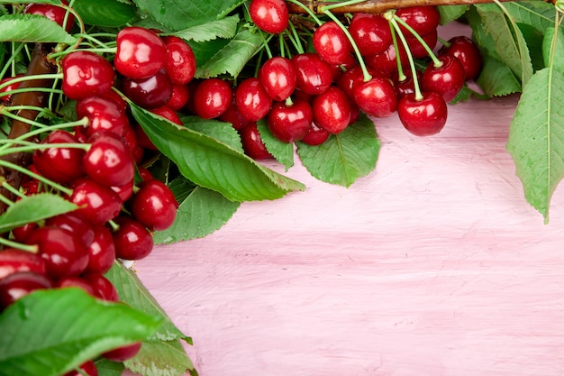 Frutos maduros de cereja e folhas de cerejeira