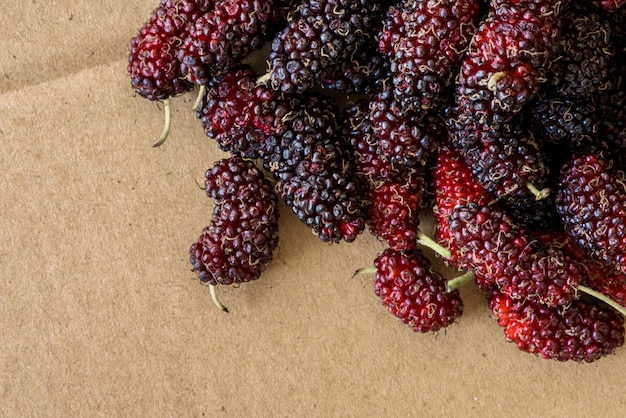 Frutos de morera orgánicos, moras negras maduras y rojas inmaduras