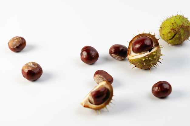 Foto frutos de otoño de castañas sobre un fondo blanco.