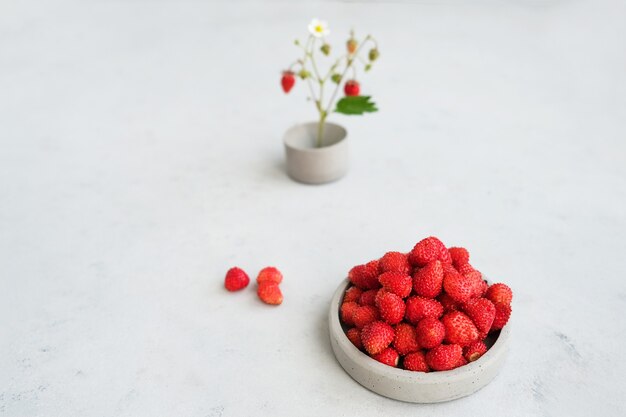 Frutos rojos de fresas silvestres. Concepto de verano en minimalismo. Copia espacio