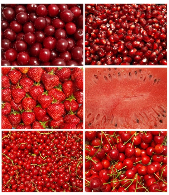 frutos rojos