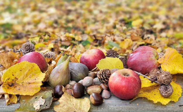 Frutos de temporada entre las hojas.