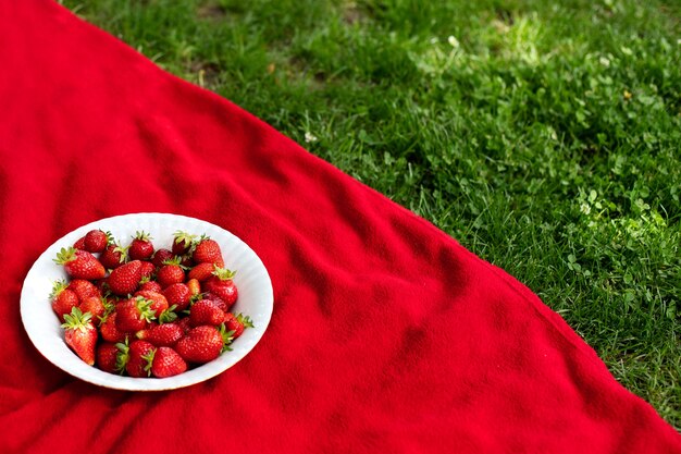 Foto frutos vermelhos maduros e suculentos em um prato sobre um cobertor vermelho na grama verde do jardim