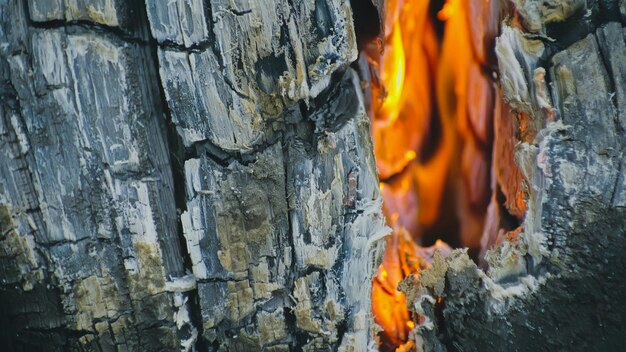 El fuego en agujeros con madera La grieta de la hoguera en sueco o finlandés vela de registro Cerrar