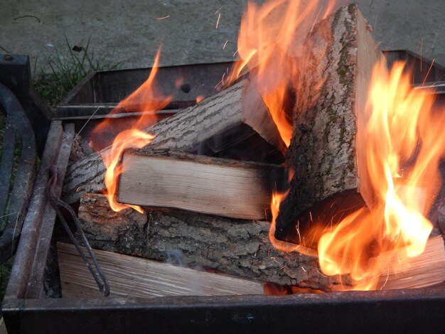 El fuego arde en el bosque en la madera