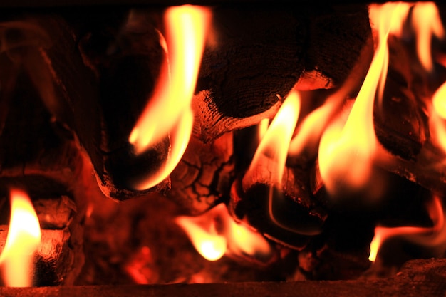 El fuego arde en una estufa de leña troncos carbonizados.