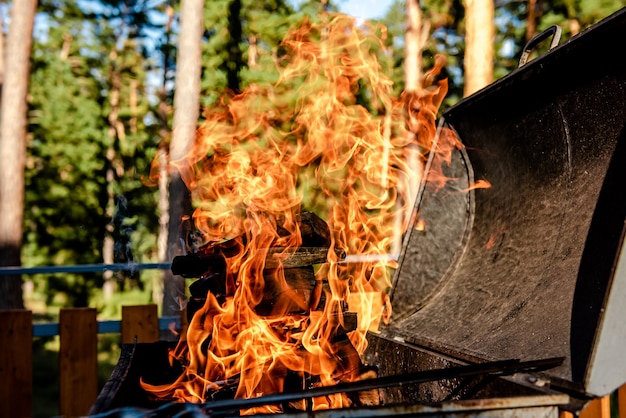 Fuego ardiendo en un brasero en la naturaleza en verano