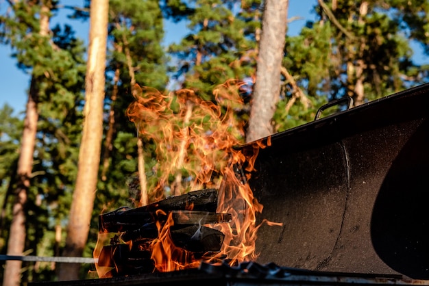 Fuego ardiendo en un brasero en la naturaleza en verano