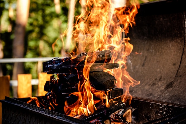 Fuego ardiendo en un brasero en la naturaleza en verano