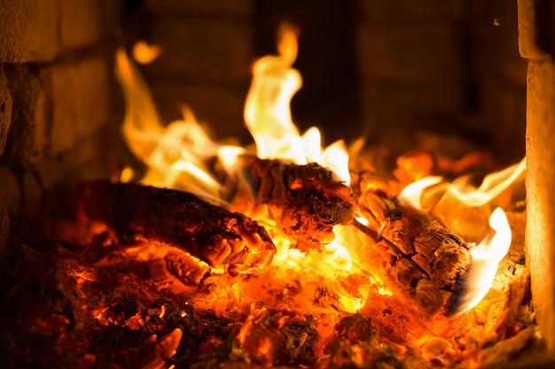 Fuego ardiendo con carbón vegetal en un horno