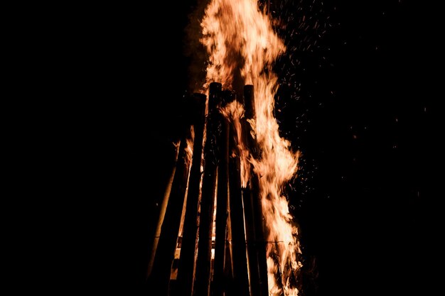 Fuego en el bosque por la noche