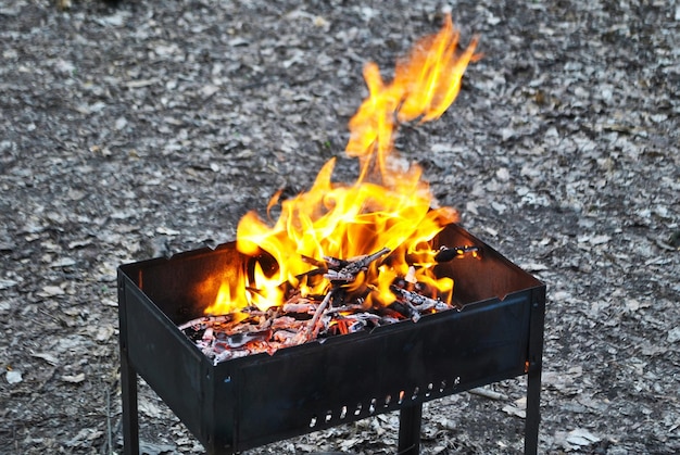 Un fuego brillante en una parrilla de carbón de leña de hierro arde en un campamento forestal