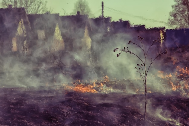 fuego en el campo / fuego en la hierba seca, paja ardiente, elemento, paisaje natural, viento