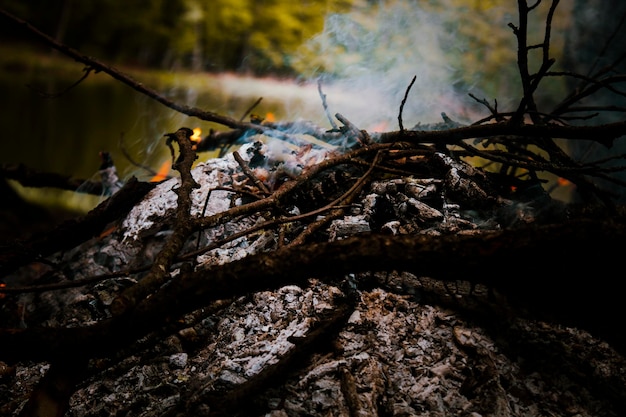 Fuego casi extinto quema en la naturaleza