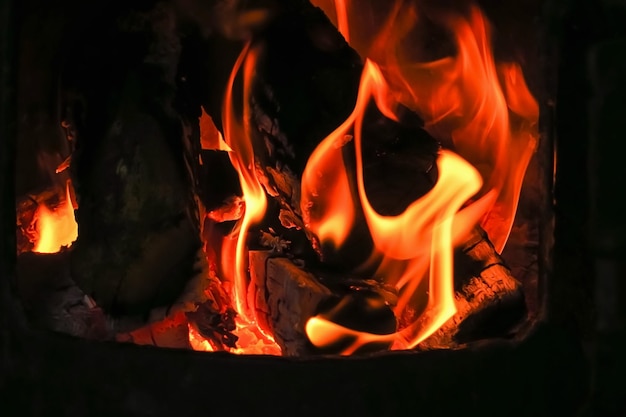 fuego en una chimenea de leña