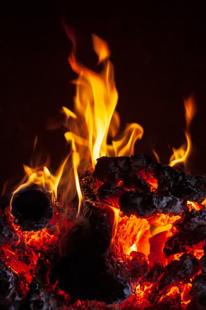 Fuego en la chimenea. Llamas y leña carbonizada sobre un fondo oscuro