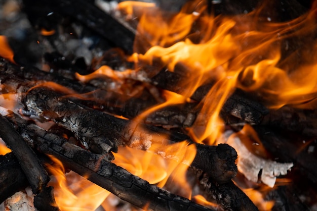 El fuego está ardiendo. Hoguera. Naturaleza. Fuego.