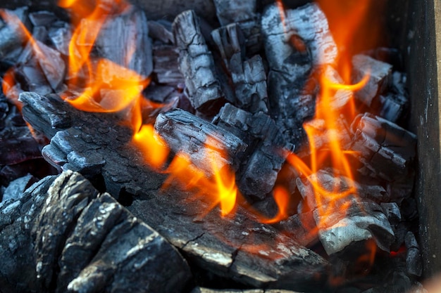 Un fuego hecho de troncos con una llama brillante en un campamento mientras cocina