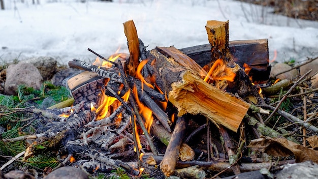 fuego hoguera invierno maderas leña llamas