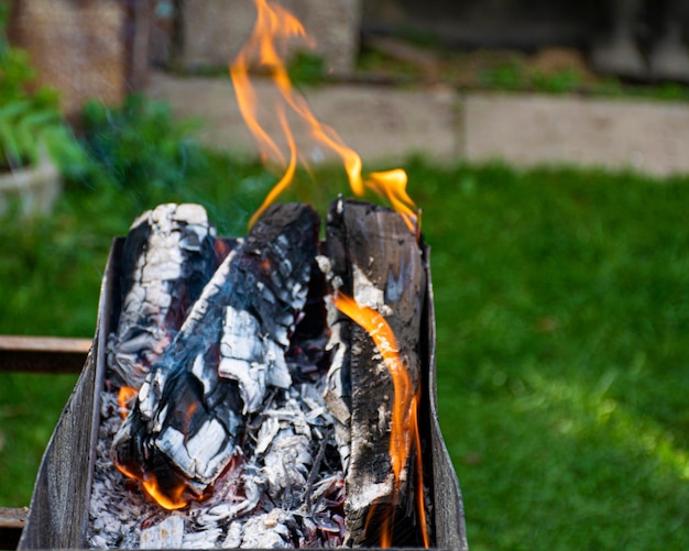 Fuego y humo Barbacoa de leña Parrilla para freír carne Hoguera en un picnic