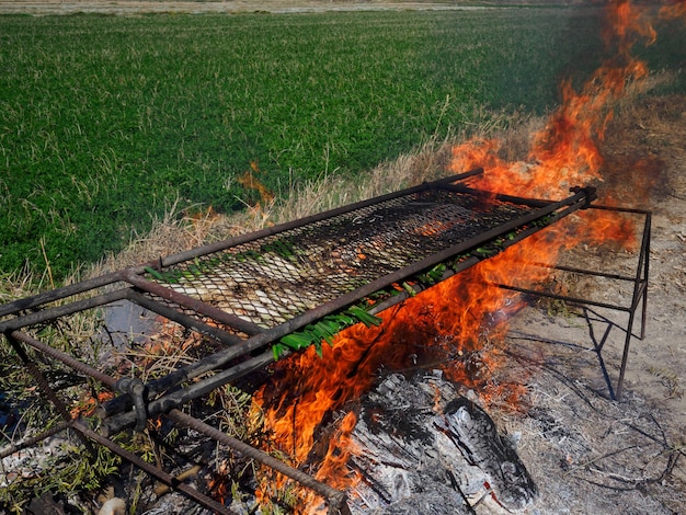 Fuego intenso cocinando calsots un tipo de cebolleta en medio del campo