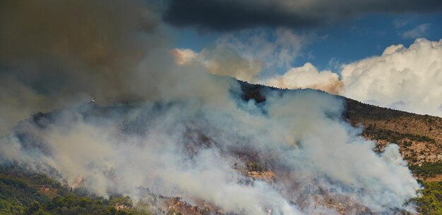 Fuego en la montaña del bosque en la ciudad italiana de ventimiglia todas las montañas en el humo el vi...