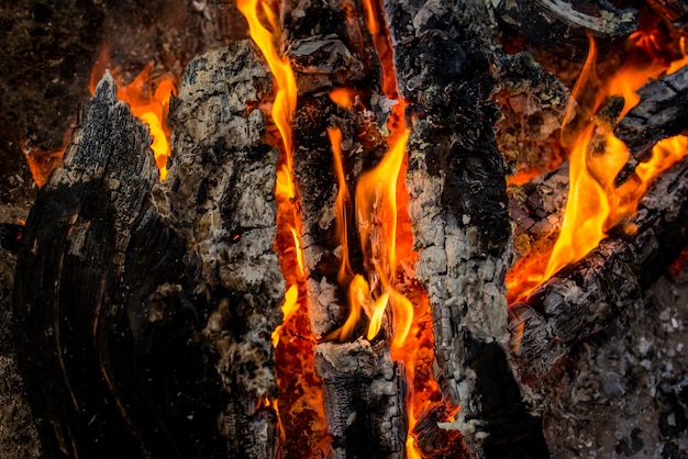 fuego en la parrilla de la chimenea