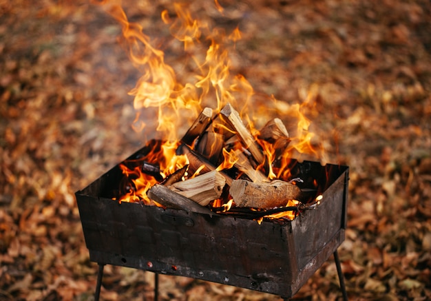 El fuego en la parrilla.