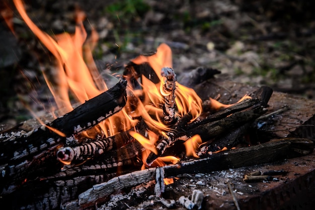 Foto fuego en el primer plano de la fogata