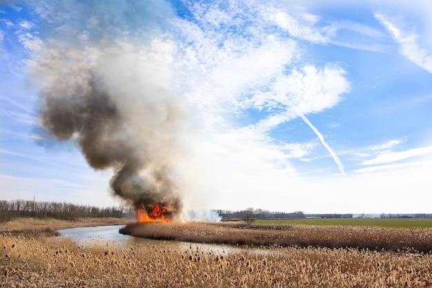 Fuego en el río paisaje contrastante