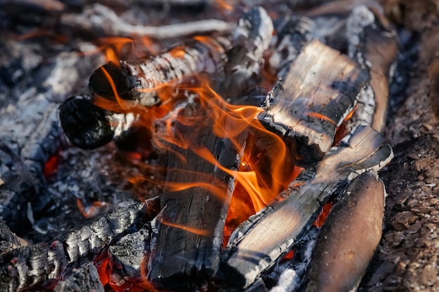 Fuego en el suelo para hermosas carnes de gaucho con brasas al rojo vivo