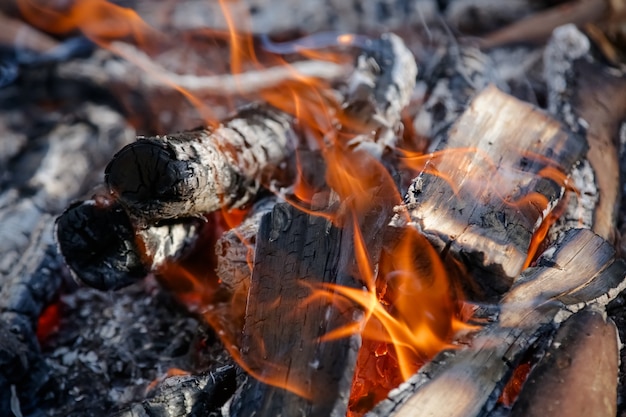 Fuego en el suelo para hermosas carnes de gaucho con brasas al rojo vivo