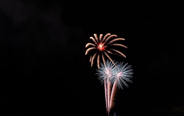 Fuegos artificiales en el cielo para el fondo.