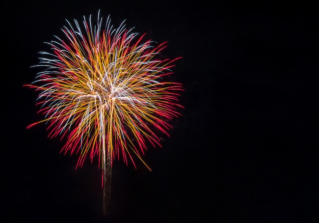 Fuegos artificiales en el cielo oscuro